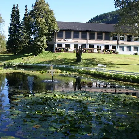 Kvastunet