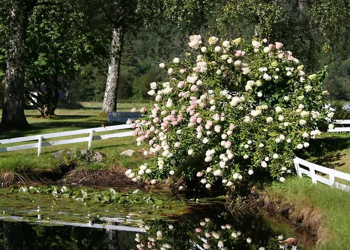 Semesteranläggning (resort) Kvåstunet